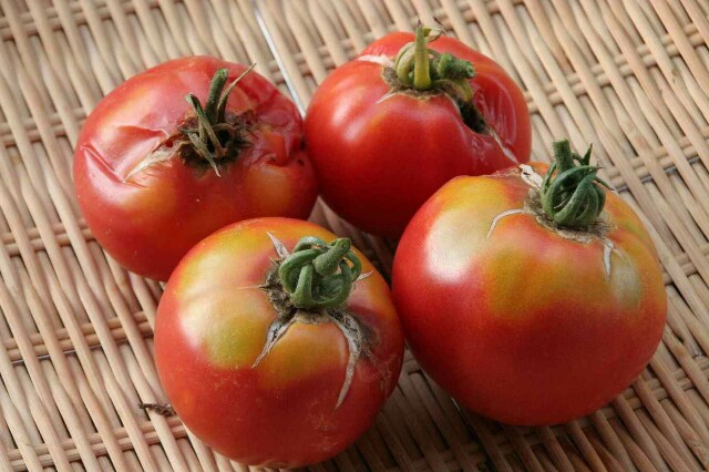 f:id:tukkoman:20180729064550j:image f:id:tukkoman:20180729064550j:image