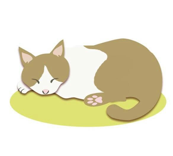f:id:tukkoman:20190101054441j:image