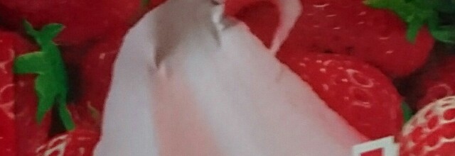 f:id:tukkoman:20190116073707j:image