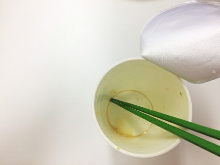 f:id:tukkoman:20190307101740j:image