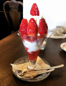 f:id:tukkoman:20190325122234j:image