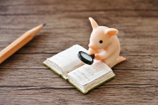 f:id:tukkoman:20190412092501j:image