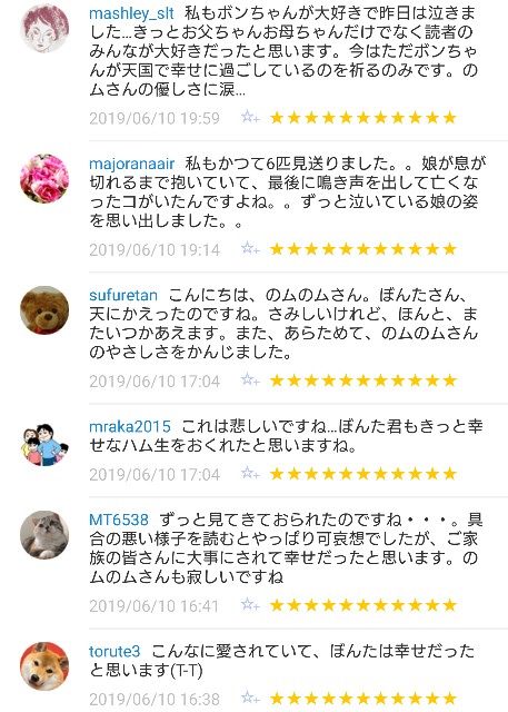 f:id:tukkoman:20190611142732j:image f:id:tukkoman:20190611142732j:image