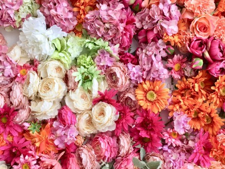 f:id:tukkoman:20190622115022j:image f:id:tukkoman:20190622115022j:image