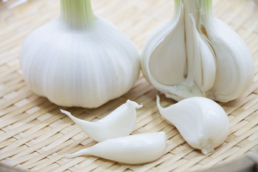 f:id:tukkoman:20190804094438j:image