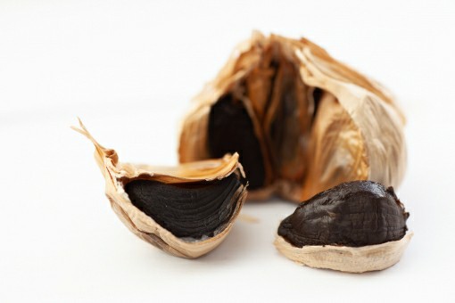 f:id:tukkoman:20190804095206j:image