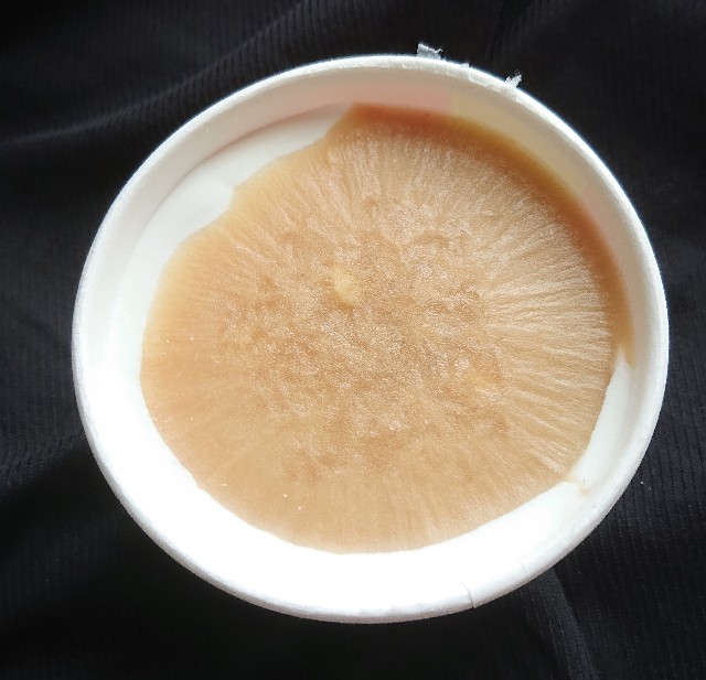 f:id:tukkoman:20191009074134j:image