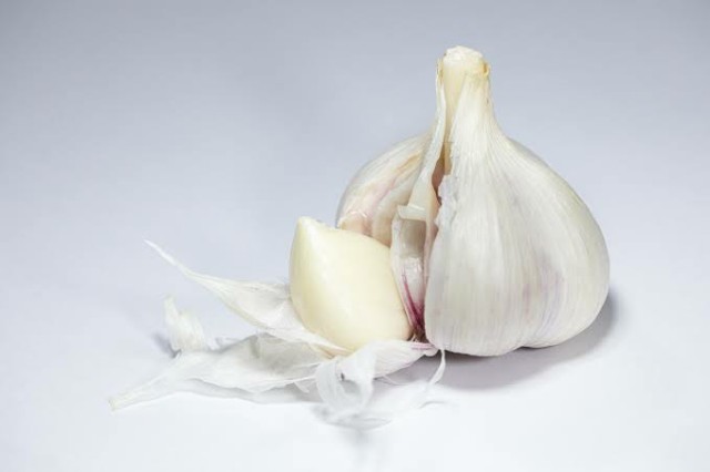 f:id:tukkoman:20191214081503j:image