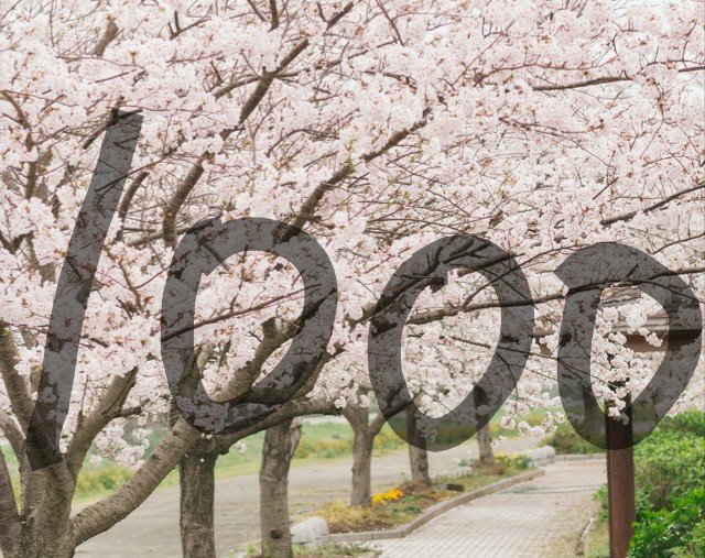 f:id:tukkoman:20191227055000j:image f:id:tukkoman:20191227055000j:image