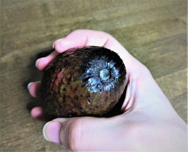 f:id:tukkoman:20191230213130j:image f:id:tukkoman:20191230213130j:image