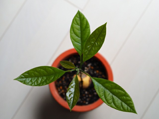 f:id:tukkoman:20191230213231j:image f:id:tukkoman:20191230213231j:image