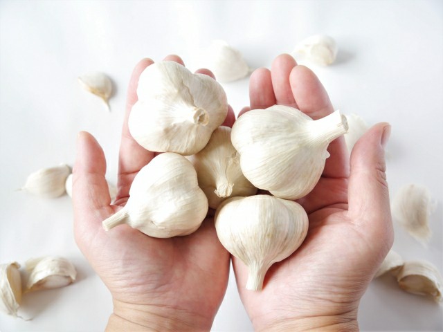 f:id:tukkoman:20200225092437j:image f:id:tukkoman:20200225092437j:image