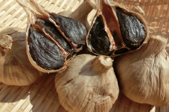 f:id:tukkoman:20200310053639j:image