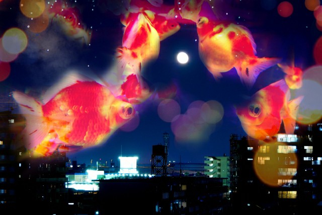 f:id:tukkoman:20200418093606j:image