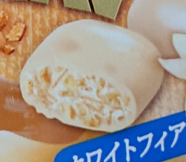 f:id:tukkoman:20201215140323j:image