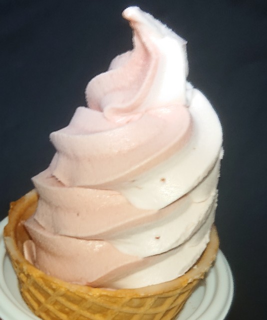 f:id:tukkoman:20201230174751j:image