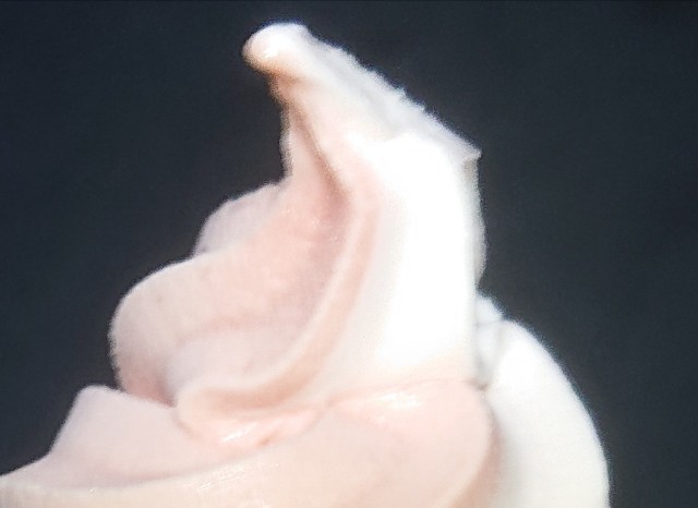 f:id:tukkoman:20201230174848j:image