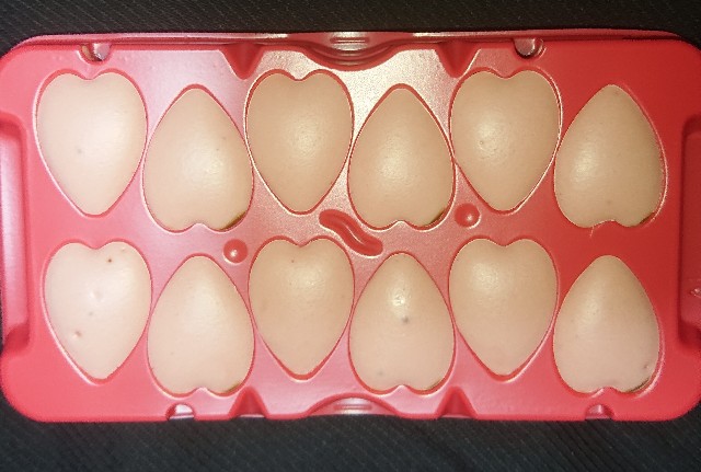 f:id:tukkoman:20210106150006j:image f:id:tukkoman:20210106150006j:image