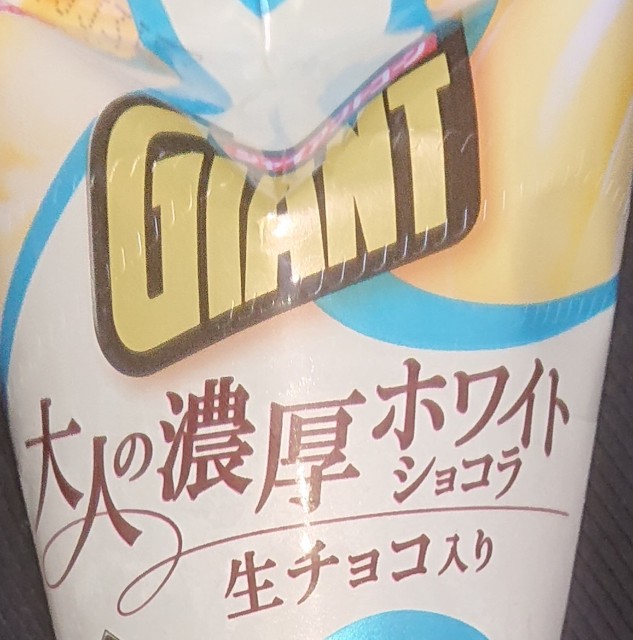 f:id:tukkoman:20210106152118j:image