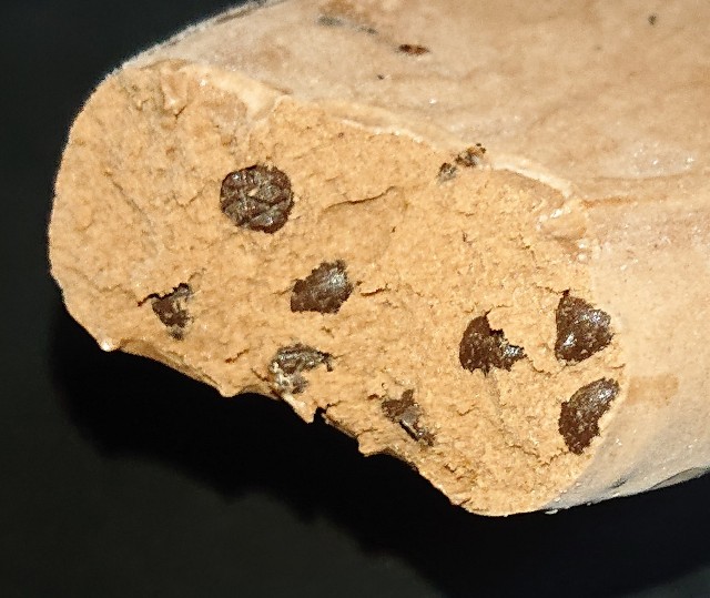 f:id:tukkoman:20210310002653j:image