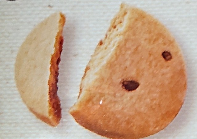 f:id:tukkoman:20210316232525j:image f:id:tukkoman:20210316232525j:image