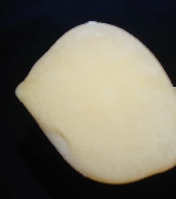 f:id:tukkoman:20210520001941j:image f:id:tukkoman:20210520001941j:image