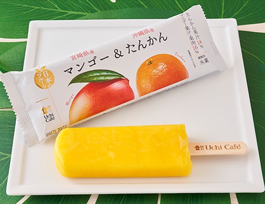 f:id:tukkoman:20210726210708j:image f:id:tukkoman:20210726210708j:image