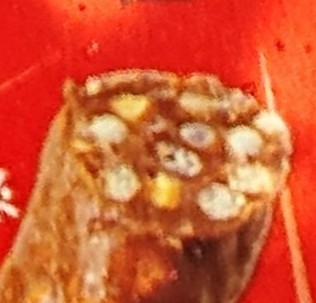 f:id:tukkoman:20210902000545j:image