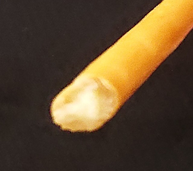 f:id:tukkoman:20211103182527j:image f:id:tukkoman:20211103182527j:image