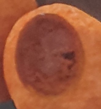 f:id:tukkoman:20211117013031j:image