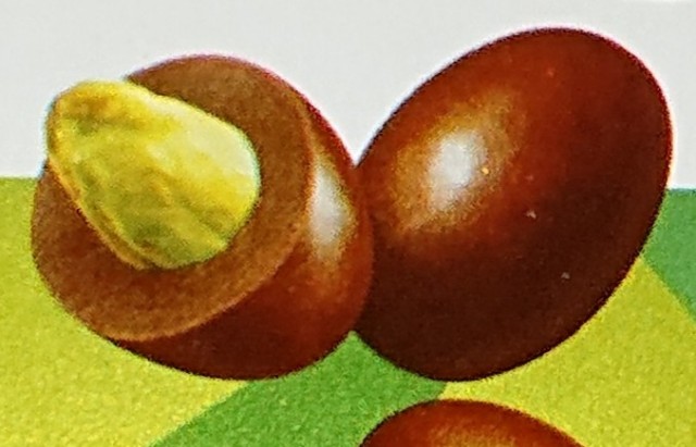 f:id:tukkoman:20220302193308j:image