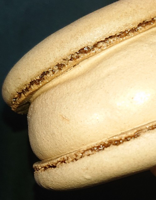 f:id:tukkoman:20221011215213j:image f:id:tukkoman:20221011215213j:image