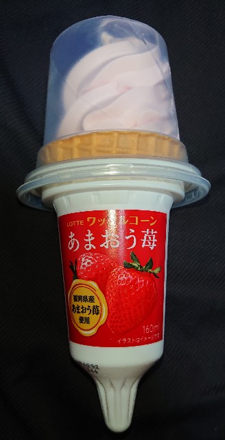 f:id:tukkoman:20230112003149j:image