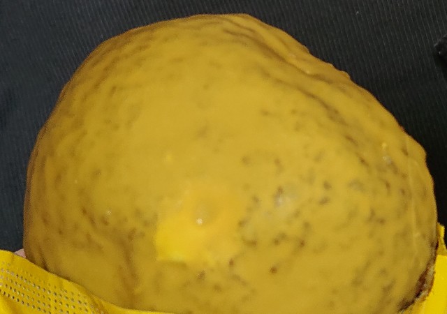 f:id:tukkoman:20230215190606j:image f:id:tukkoman:20230215190606j:image