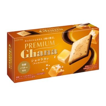 f:id:tukkoman:20230404202937j:image