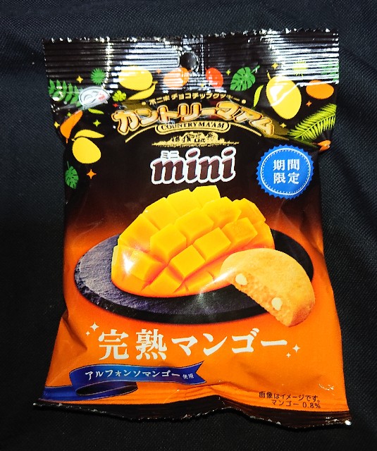 f:id:tukkoman:20230607134205j:image