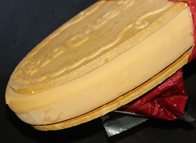 f:id:tukkoman:20230607171506j:image