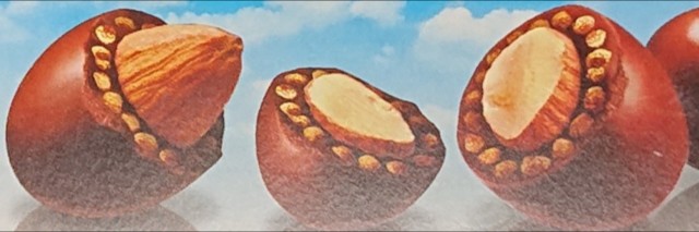 f:id:tukkoman:20230615004905j:image