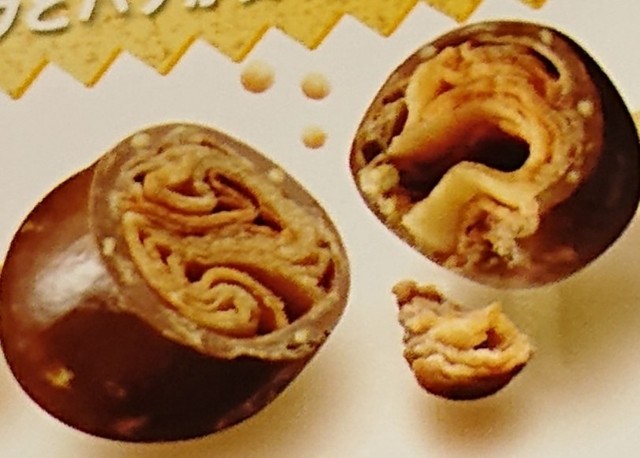 f:id:tukkoman:20230628120942j:image