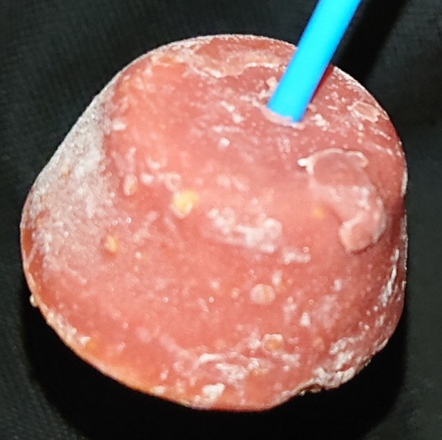 f:id:tukkoman:20230830101700j:image