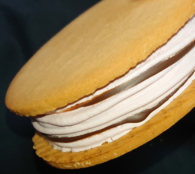 f:id:tukkoman:20231220120534j:image