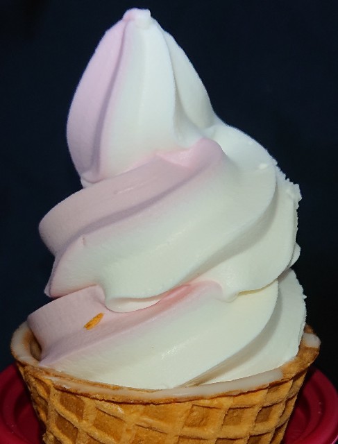 f:id:tukkoman:20240111111422j:image f:id:tukkoman:20240111111422j:image