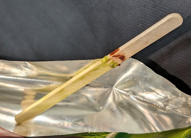 f:id:tukkoman:20240210170757j:image