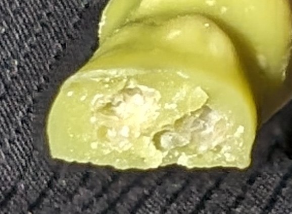 f:id:tukkoman:20240219115705j:image