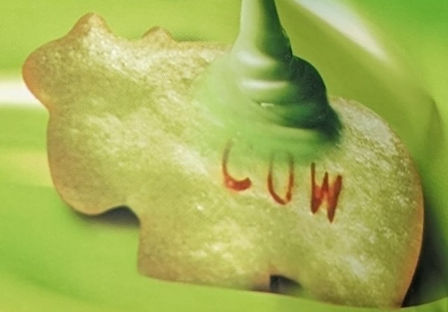 f:id:tukkoman:20240312181725j:image