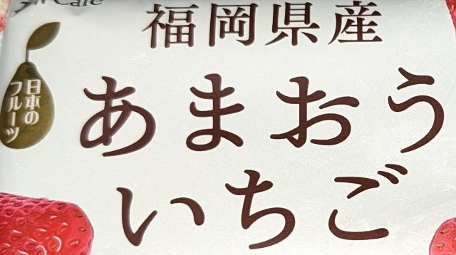 f:id:tukkoman:20240423225536j:image