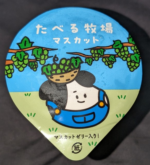 f:id:tukkoman:20240528180953j:image