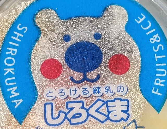 f:id:tukkoman:20240605133157j:image