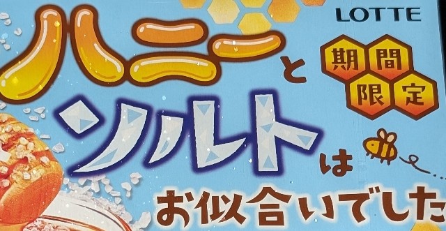 f:id:tukkoman:20240612123149j:image