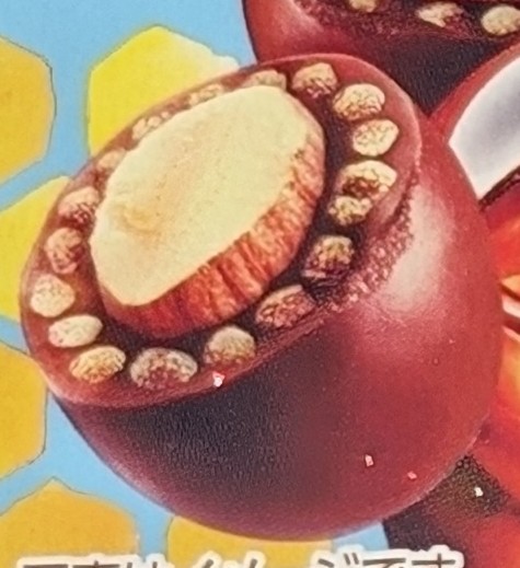 f:id:tukkoman:20240612123841j:image